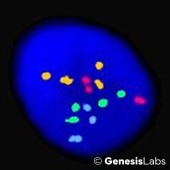 BI22BF-203-9x-2 BI22BF-203-9x-2