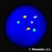 BI22BF-246-2x-2 BI22BF-246-2x-2