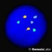 BI22BF-246-2x-2 BI22BF-246-2x-2