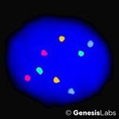 BO22BF-123-2x-2 BO22BF-123-2x-2