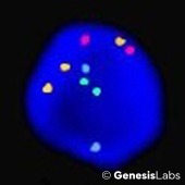 BO22BF-90-2x-2 BO22BF-90-2x-2